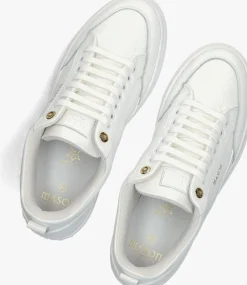 witte mason garments sneakers tia