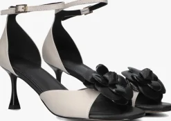 witte toral pumps rita