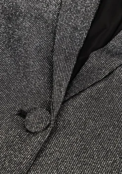 zilveren ibana blazer jolsy