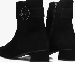 zwarte hassia enkellaarsjes 303095