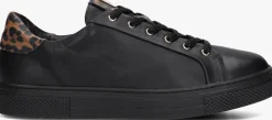 zwarte hassia lage sneakers asti