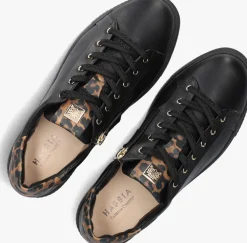 zwarte hassia lage sneakers asti