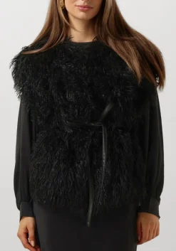 zwarte ibana gilet jannes