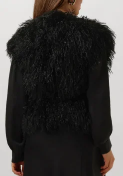 zwarte ibana gilet jannes