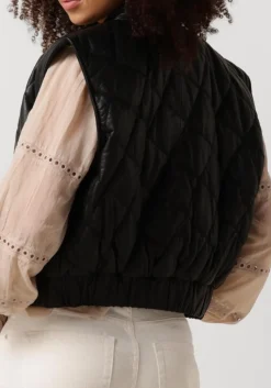 zwarte ibana gilet jordien