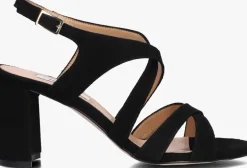 zwarte notre-v sandalen met hak 22552