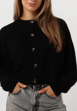 zwarte vanessa bruno truien/vesten douve