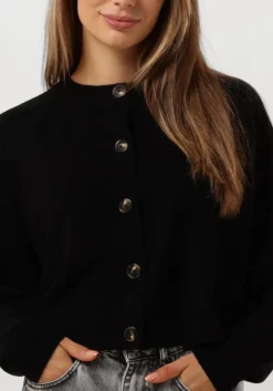 zwarte vanessa bruno truien/vesten douve