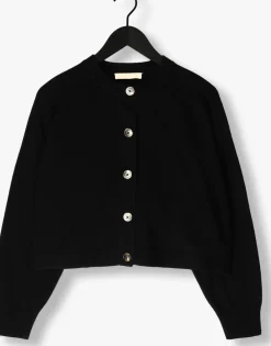 zwarte vanessa bruno truien/vesten douve