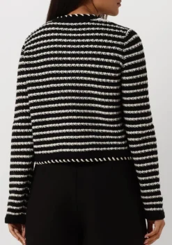 zwarte vanessa bruno truien/vesten daya