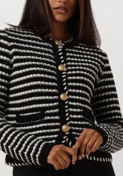 zwarte vanessa bruno truien/vesten daya